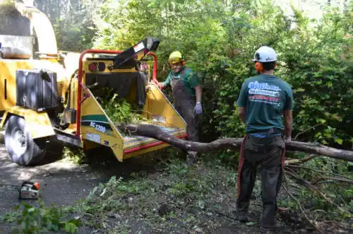 tree services Loveland